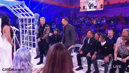 Bride And Groom Getting Married At Wrestling Show GIF