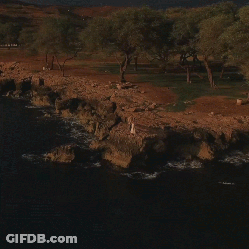 Bride And Groom Holding Hands GIF