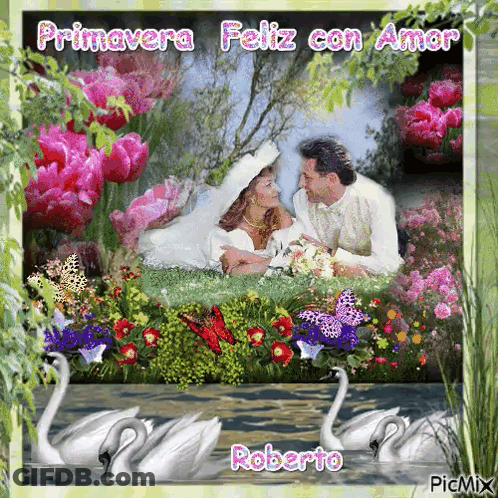 Bride And Groom In Garden With Swans GIF