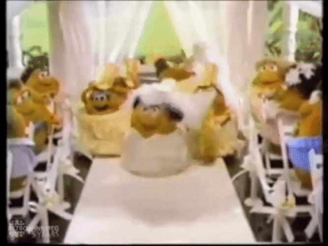 Bride And Groom Photos GIF