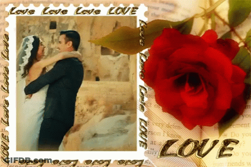 Bride And Groom Surrounded By Love GIF