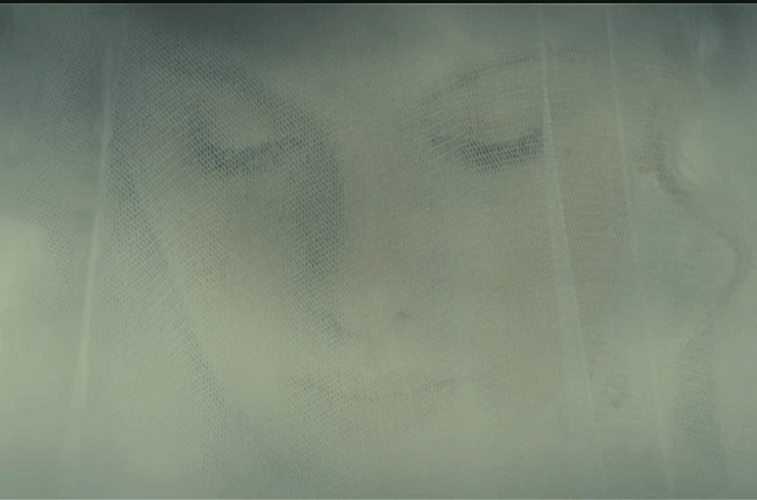 Bride's Face Under Wedding Veil GIF