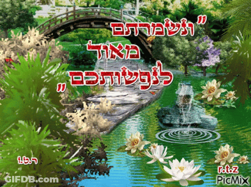 Bridge And River In Park With Flowers Trees GIF