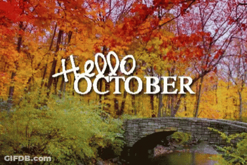 Bridge In Forest Saying Hello October GIF