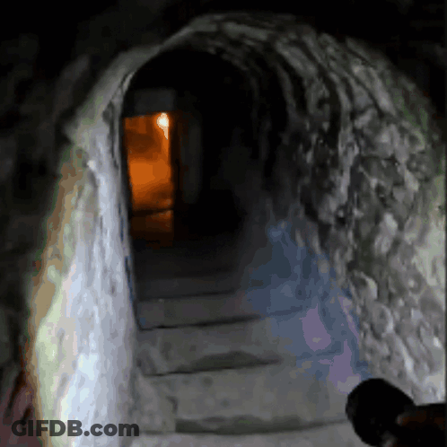 Bridge Leading To Castle At Night GIF