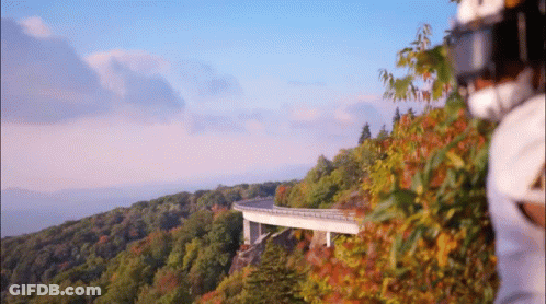 Bridge Over Mountain With Trees GIF