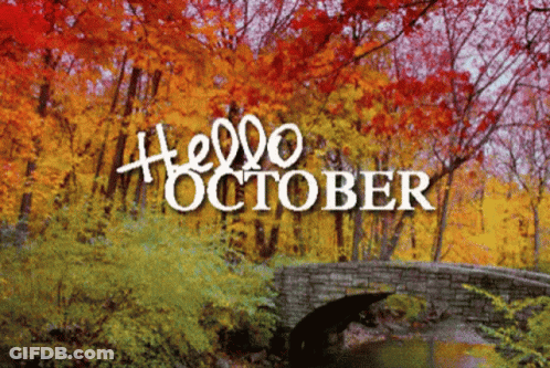 Bridge Over River Saying Hello October GIF