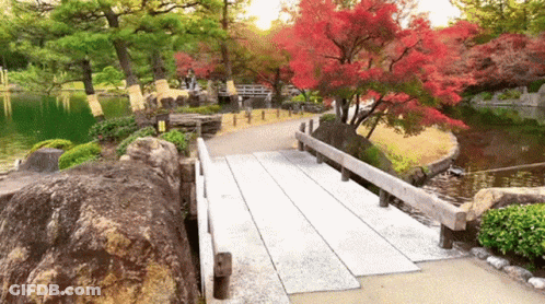 Bridge Over Water In Park With Red Trees GIF