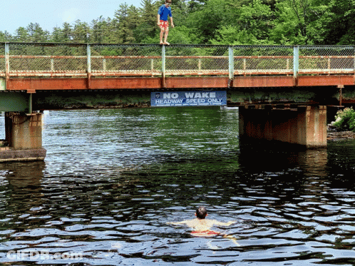 Bridge Over Water With Trees GIF