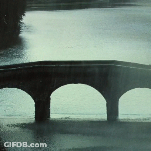 Bridge Over Water With Trees GIF