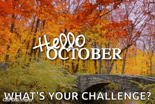 Bridge Saying Hello October What's Your Challenge GIF