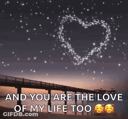 Bridge With Love Of My Life Too GIF