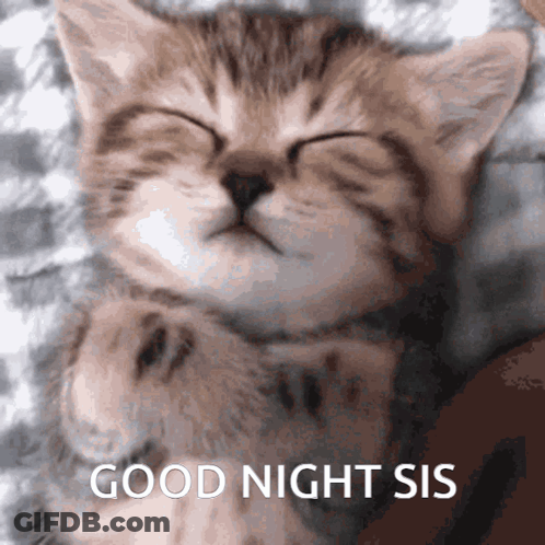 Bridge With Star Heart Good Night Honey GIF