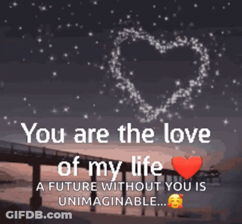 Bridge With You Are The Love Of My Life GIF