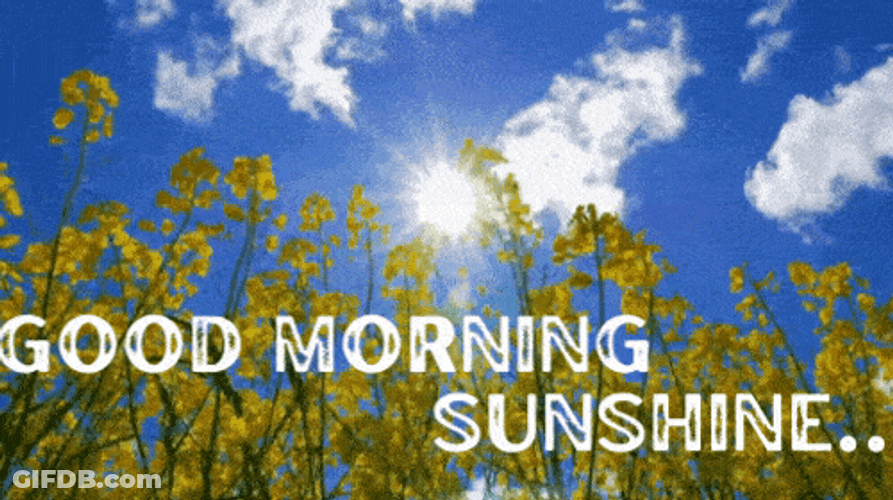 Bright Day Good Morning Sunshine Yellow GIF