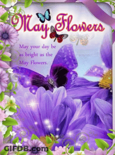 Bright May Flowers Greeting Card GIF
