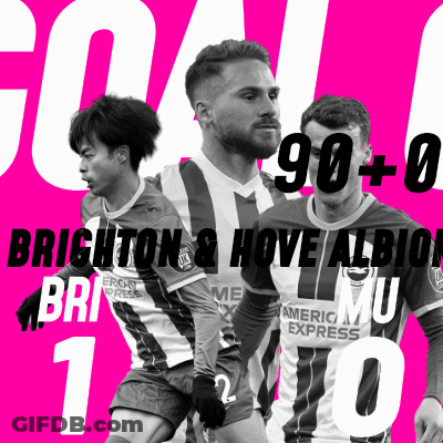 Brighton And Hove Albion Scoring Goal GIF