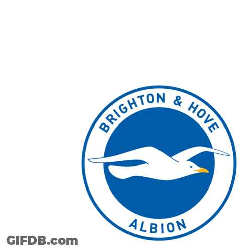 Brighton And Hove Albion Soccer Club Logo GIF
