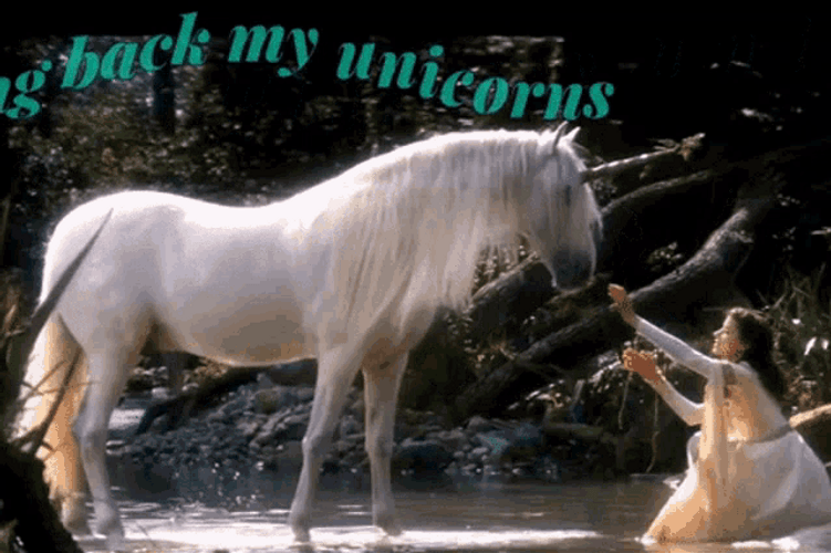 Bring Back My Unicorn GIF