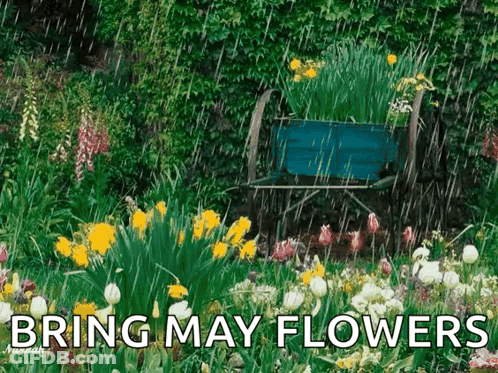 Bring May Flowers Garden GIF