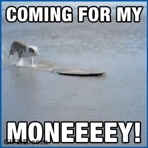 Bring Me My Money Dog Surf GIF