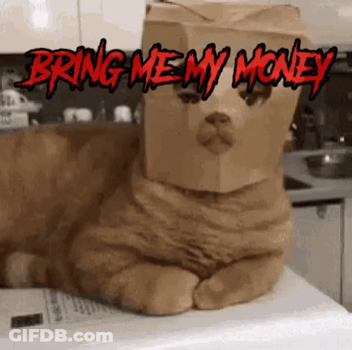 Bring Me My Money Thug Cat GIF