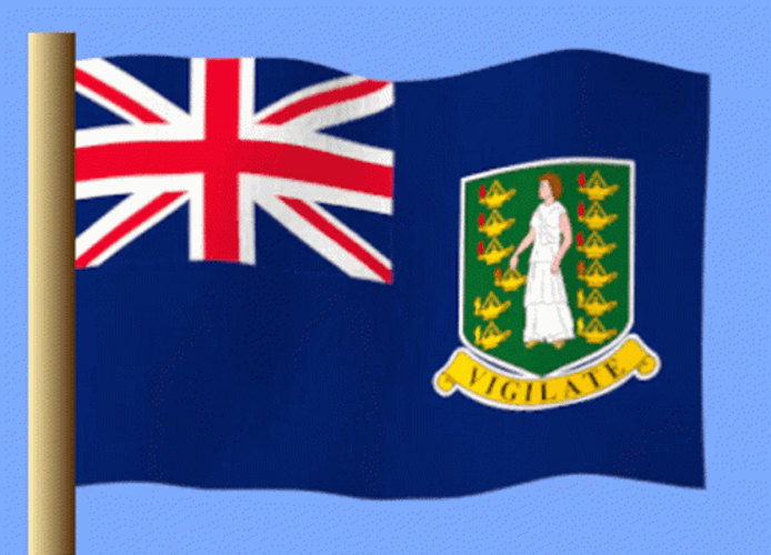 British Virgin Islands Flag Blue Background GIF