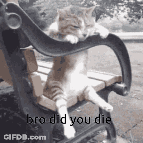 Bro Did You Die GIF
