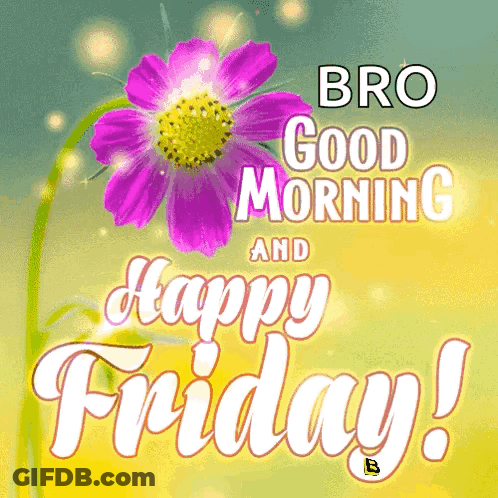 Bro Good Morning And Happy Friday Greeting Card With A Purple Flower GIF