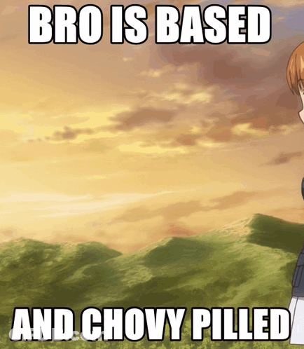 Bro Is Based And Chovy Pilled Meme GIF