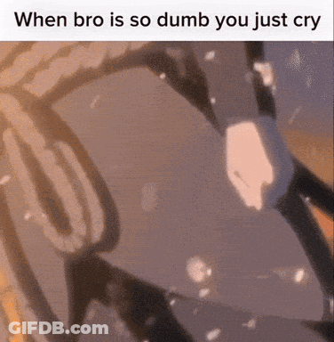 Bro Is So Dumb You Cry GIF