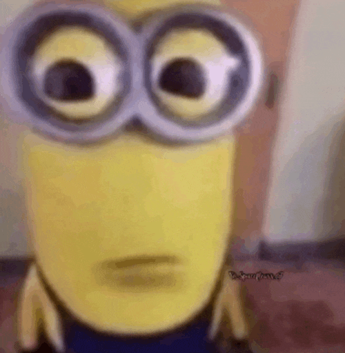 Bro Meme GIF