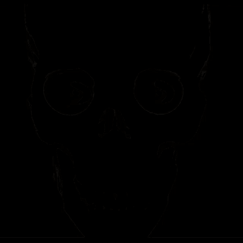 Bro Skull GIF