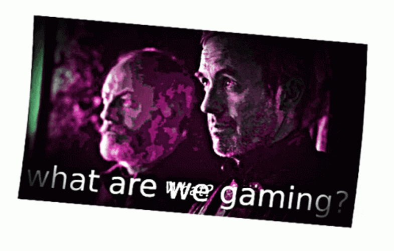 Bro What Are We Gaming GIF