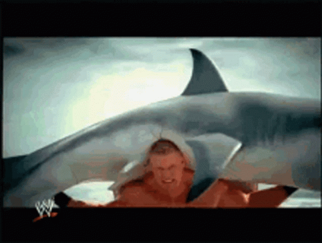 Brock Lesnar Carry A Heavy Shark GIF