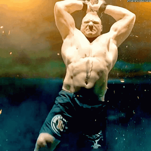 Brock Lesnar Had Arrive Ready To Fight GIF