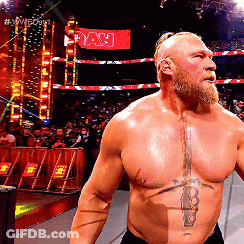 Brock Lesnar Vs Hunt GIF