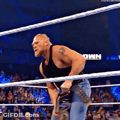 Brock Lesnar Vs Hunt GIF