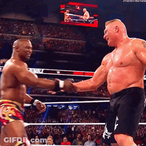 Brock Lesnar Vs Hunt GIF