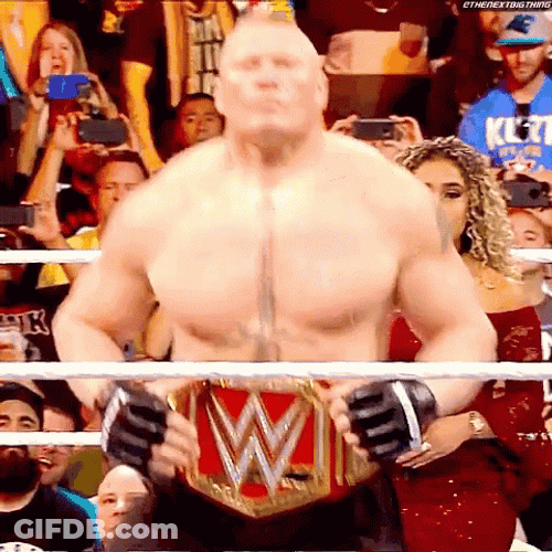 Brock Lesnar Vs Hunt GIF