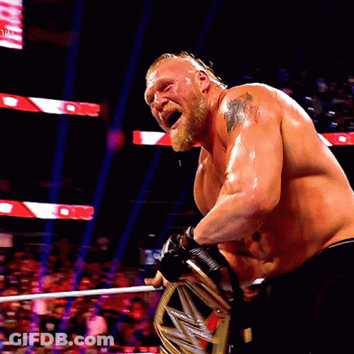 Brock Lesnar Vs Hunt GIF