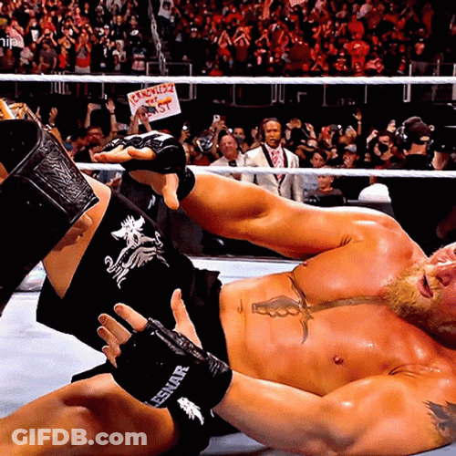 Brock Lesnar Vs Hunt GIF