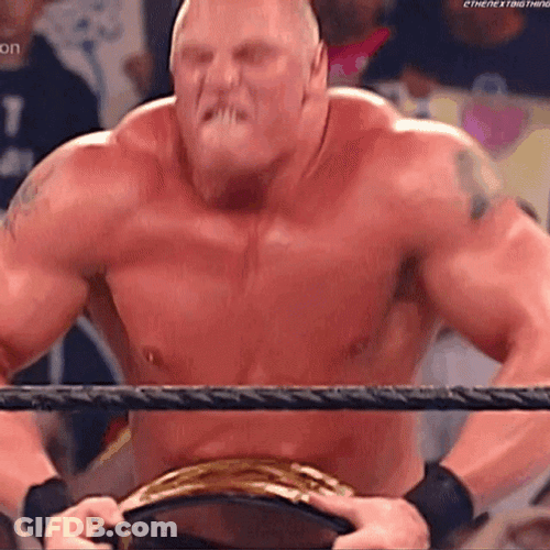 Brock Lesnar Vs Hunt GIF