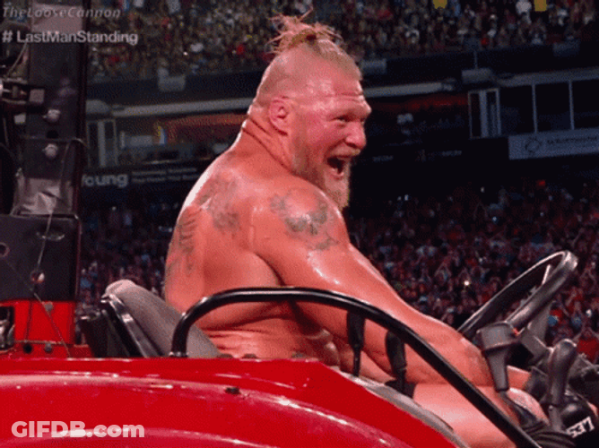 Brock Lesnar Vs Hunt GIF