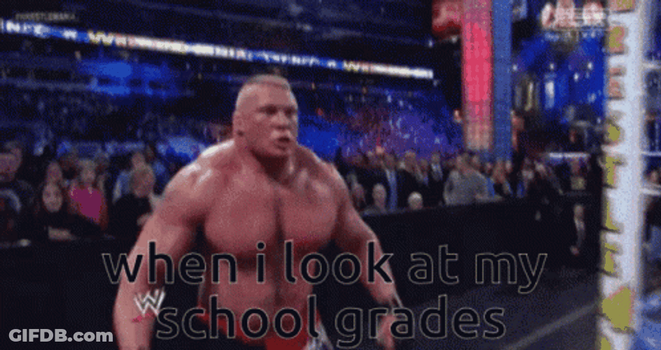 Brock Lesnar Vs Hunt GIF