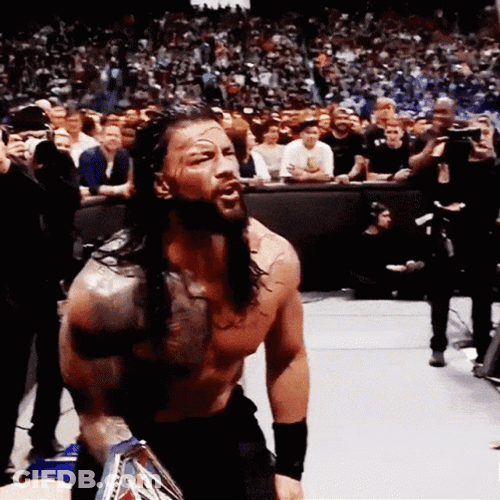 Brock Lesnar Vs Hunt GIF