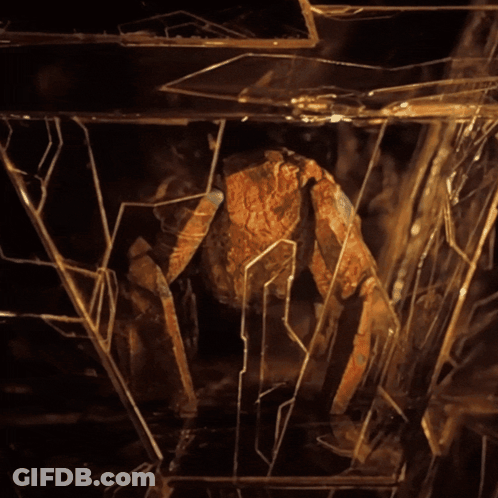 Broken Glass Resembling A Spider GIF