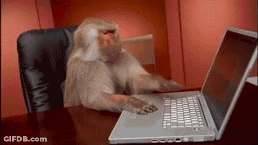 Broken Laptop Because Of Monkey GIF