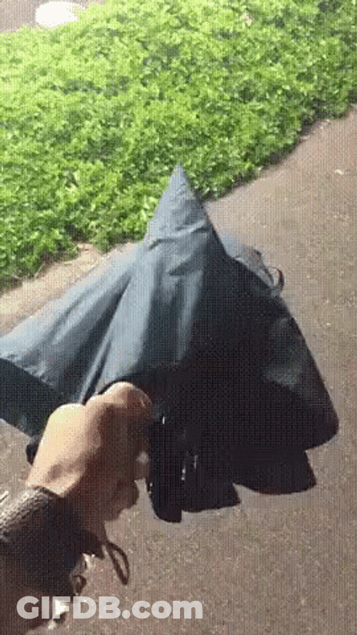 Broken Umbrella Middle Finger GIF