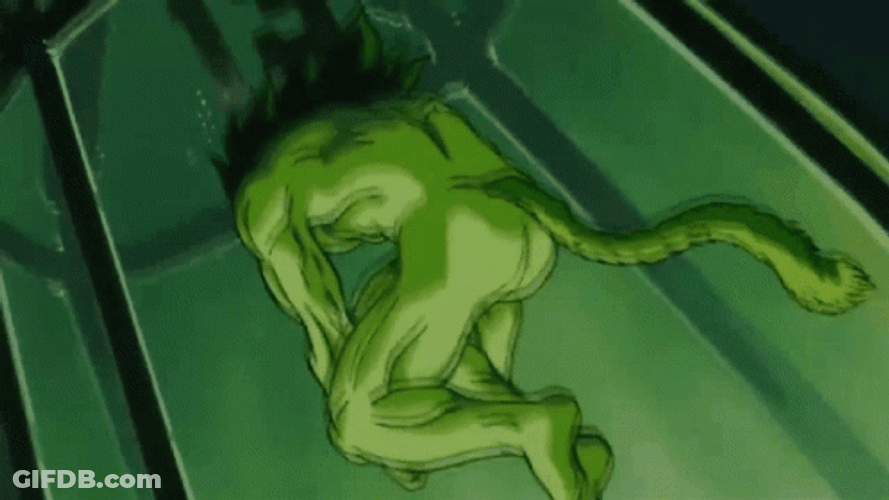 Broly Tail Wagging GIF